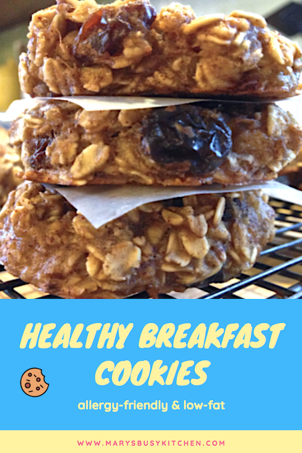 healthy breakfast cookies