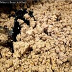 seasoned ground meat gluten-free and low fodmap