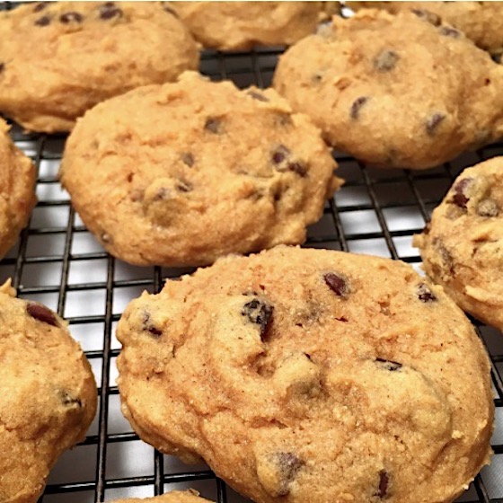 pumpkin cookies with chocolate chips and raisins