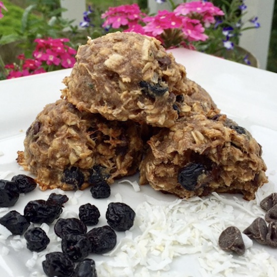 healthy oat, coconut, dried blueberries, and chocolate chip cookies