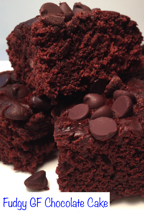 rich chocolate cake that is gluten, dairy, and egg-free. 
