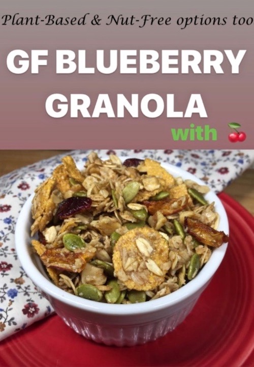 Homemade GF blueberry granola