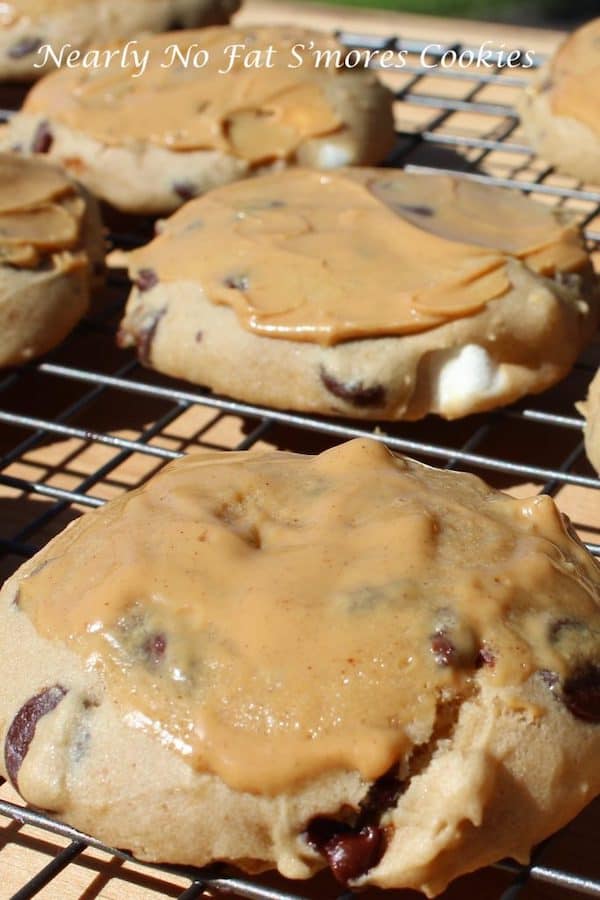Nearly no-fat soft and chewy s'more cookies. Gluten-free and vegan.