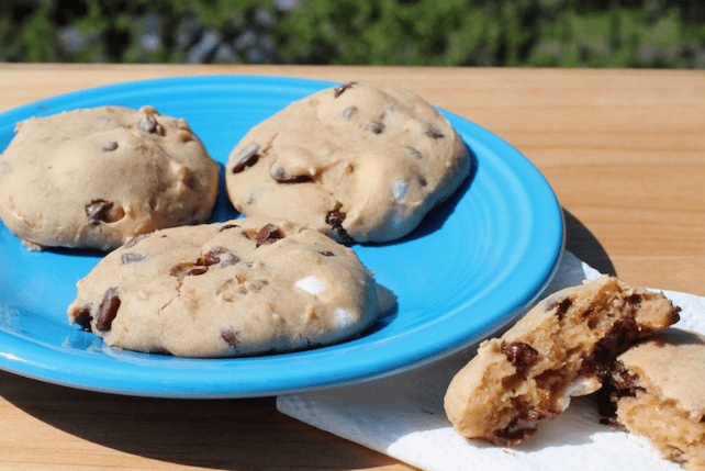 Nearly no fat soft and delicious s'more cookies that are gluten-free and vegan