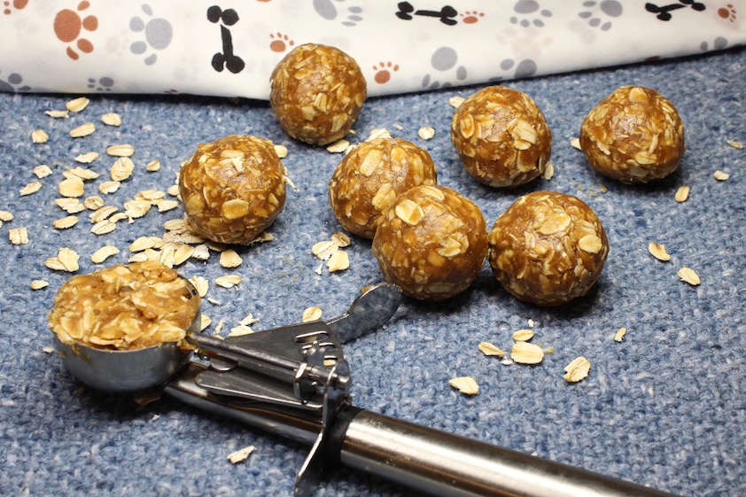 energy balls for dogs