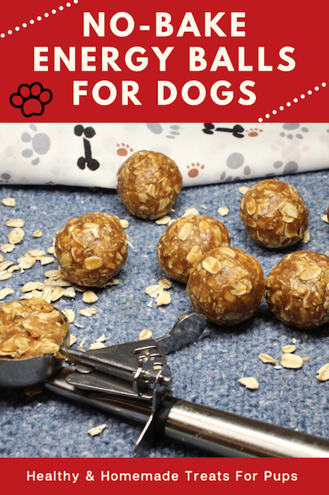 Easy no-bake dog treats, energy balls.