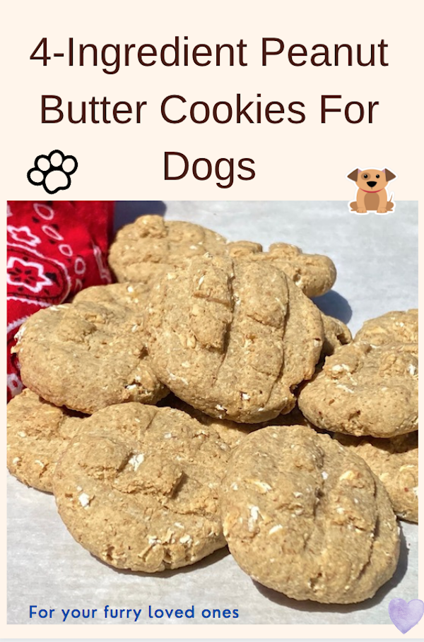 4-ingredient peanut butter cookies for dogs