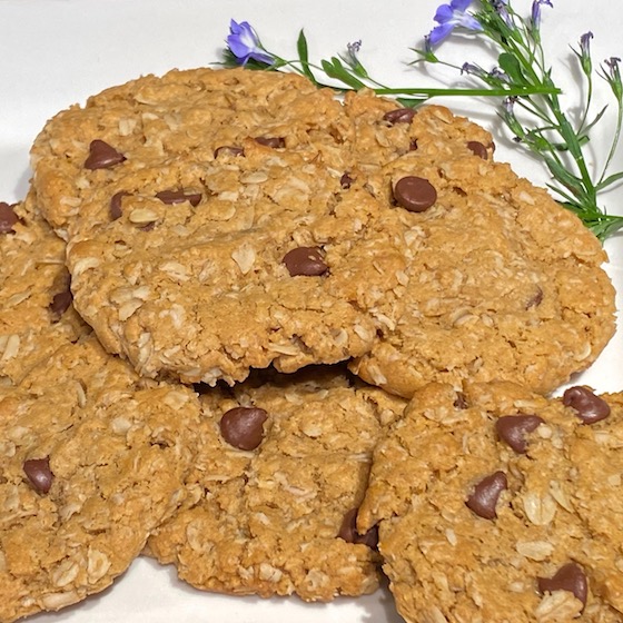 Peanut Butter Oaties flourless gluten-free cookies with less fat