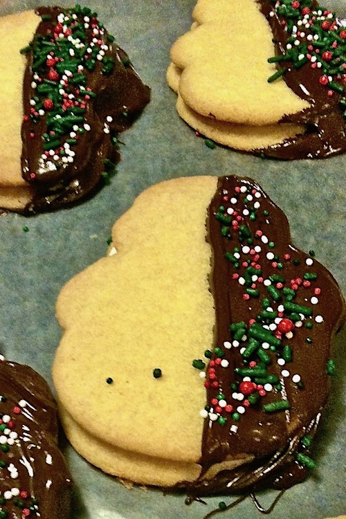 deluxe sugar cookies dipped in melted chocolate