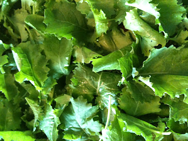 sauteed fresh kale