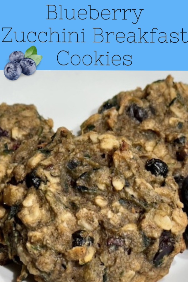 blueberry zucchini breakfast cookies- gluten-free and vegan