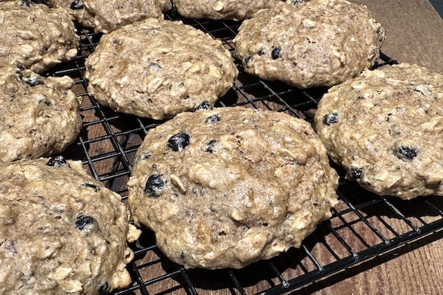 soft wild blueberry oat breakfast cookie