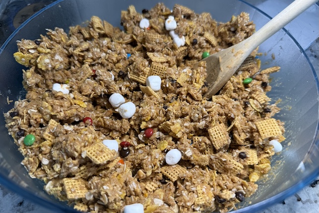 S'mores Energy Balls Gluten-free